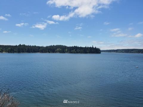 1171 E Wilson Way, Grapeview, WA 98546 photo 13