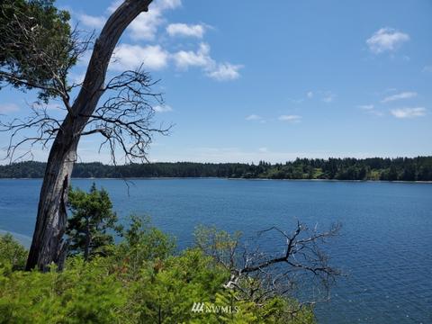 1171 E Wilson Way, Grapeview, WA 98546 photo 24