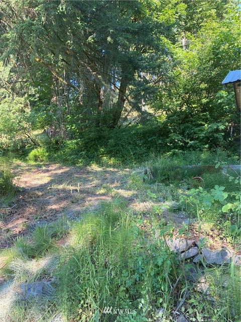 1379 Ferrier Rd, Winlock, WA 98596 photo 3