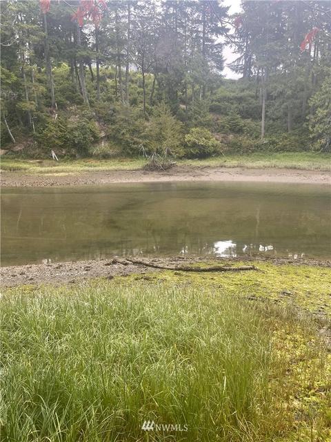 980 E Wilson Way, Grapeview, WA 98546 photo 35