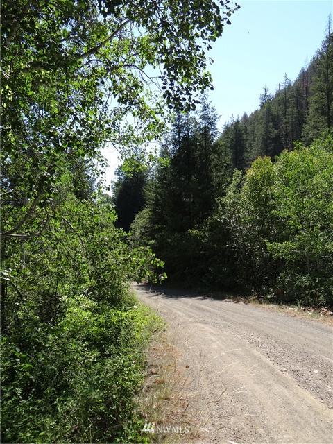 77 Twisp River Rd, Twisp, WA 98856 photo 17