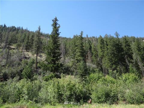 77 Twisp River Rd, Twisp, WA 98856 photo 18
