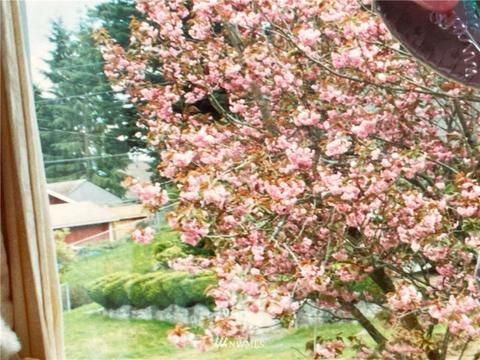 4502 Grand Ave, Everett, WA 98203 photo 35
