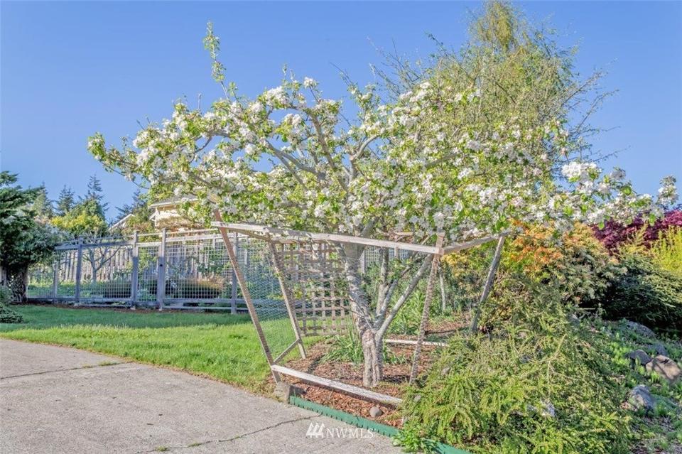  72 Vista Blvd, Port Townsend, WA 98368 photo 34