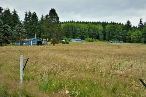 58 Raspberry Rd, Elma, WA 98541 photo 1
