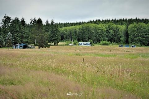 58 Raspberry Rd, Elma, WA 98541 photo 28