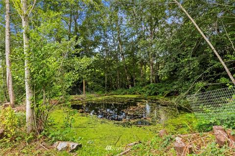 3991 E Grapeview Loop Rd, Grapeview, WA 98546 photo 31