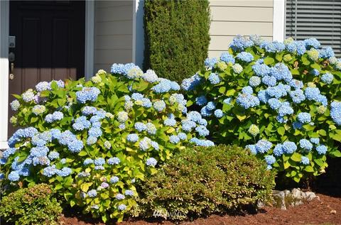 18709 39th Dr SE, Bothell, WA 98012 photo 36