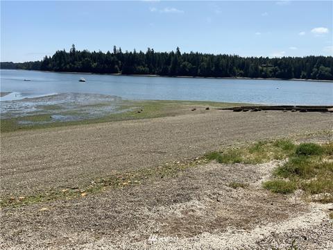 451 E Madrona Pkwy, Grapeview, WA 98564 photo 14