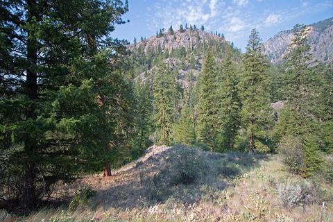 61 Doe Haven Dr, Twisp, WA 98856 photo 17