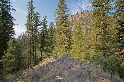 61 Doe Haven Dr, Twisp, WA 98856 photo 19
