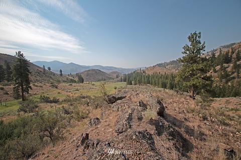 61 Doe Haven Dr, Twisp, WA 98856 photo 23