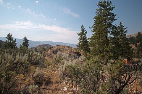 61 Doe Haven Dr, Twisp, WA 98856 photo 32