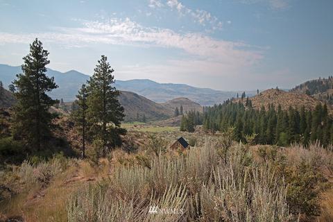 61 Doe Haven Dr, Twisp, WA 98856 photo 1