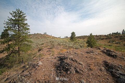 61 Doe Haven Dr, Twisp, WA 98856 photo 22