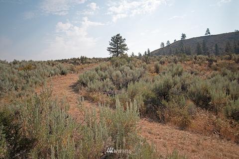 61 Doe Haven Dr, Twisp, WA 98856 photo 30