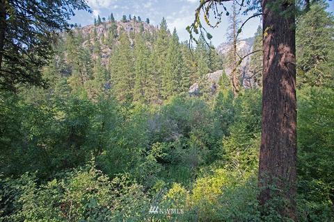 61 Doe Haven Dr, Twisp, WA 98856 photo 20