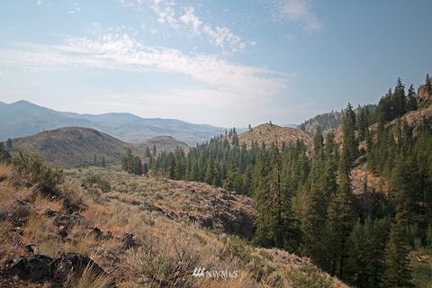 61 Doe Haven Dr, Twisp, WA 98856 photo 14