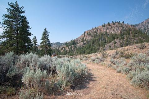 61 Doe Haven Dr, Twisp, WA 98856 photo 29