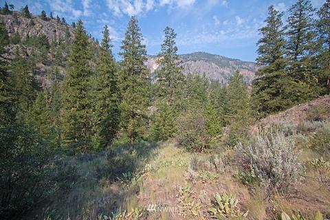61 Doe Haven Dr, Twisp, WA 98856 photo 18
