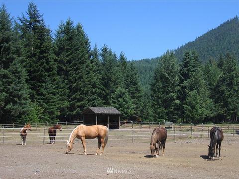 62207 Meadow Way E, Greenwater, WA 98022 photo 35