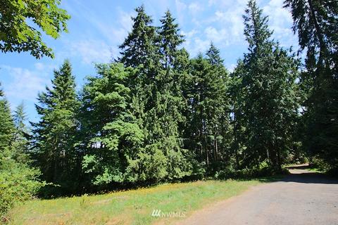 198 Lost Mountain Rd, Sequim, WA 98382 photo 30
