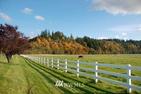 19017 206th St E, Orting, WA 98360 photo 39