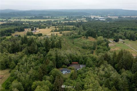 38 Raspberry Rd, Elma, WA 98541 photo 38