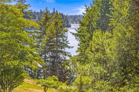 102 E Columbine Ln, Grapeview, WA 98546 photo 24