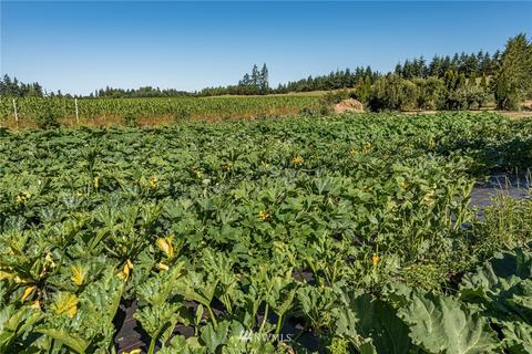 1701 Sequim Dungeness Way, Sequim, WA 98382 photo 39