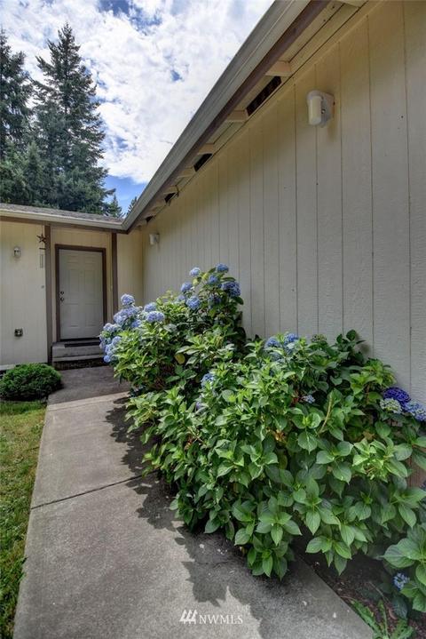 809 Tipsoo Loop SE, Rainier, WA 98576 photo 3
