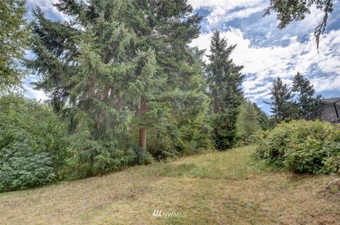 809 Tipsoo Loop SE, Rainier, WA 98576 photo 24