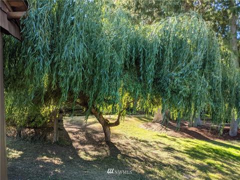 394 Youngquist Rd, Sequim, WA 98382 photo 35