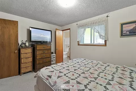 411 Train St SE, Orting, WA 98360 photo 16