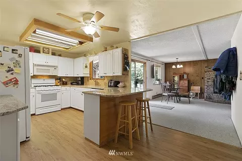 411 Train St SE, Orting, WA 98360 photo 20