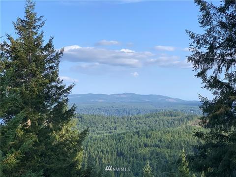 200 Jupiter Loop Rd, Brinnon, WA 98320 photo 3