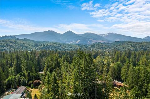 46586 Baker Loop Rd, Concrete, WA 98237 photo 22