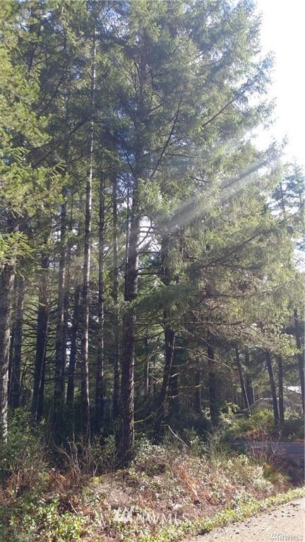  11 NE Lake Ct, Tahuya, WA 98588 photo 3