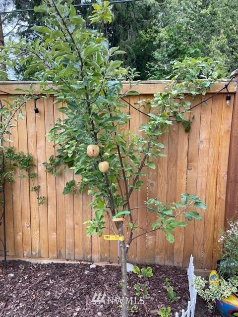4429 233rd Pl SE, Bothell, WA 98021 photo 37