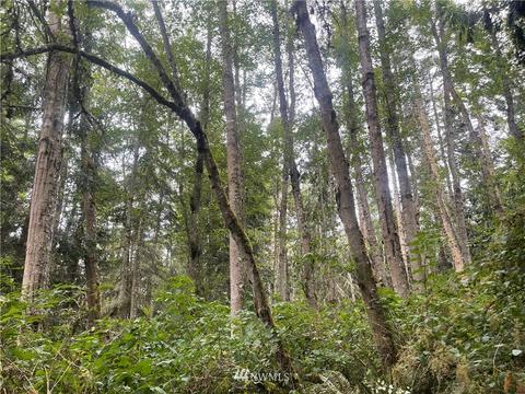25 Old Gardiner Rd, Gardiner, WA 98382 photo 23