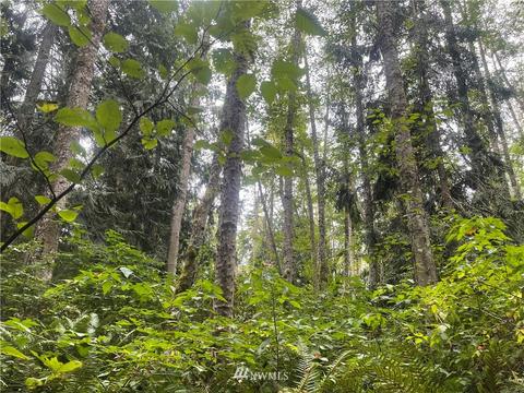 25 Old Gardiner Rd, Gardiner, WA 98382 photo 21