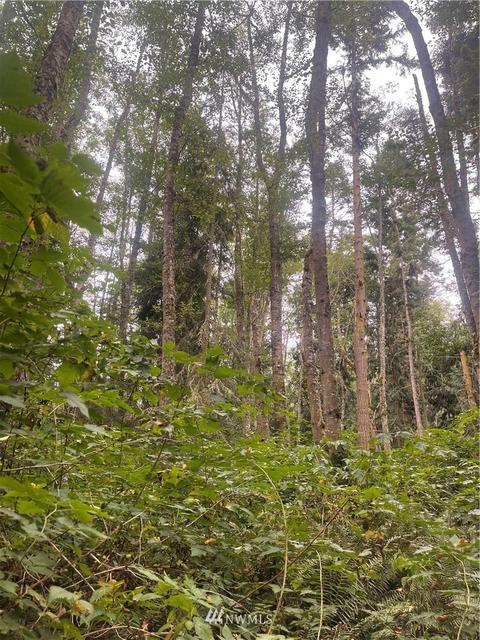 25 Old Gardiner Rd, Gardiner, WA 98382 photo 22