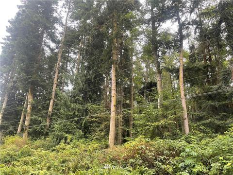 25 Old Gardiner Rd, Gardiner, WA 98382 photo 24