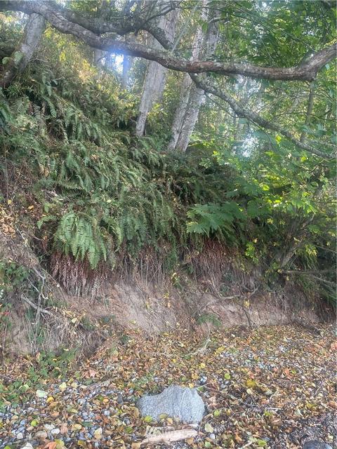 25 Old Gardiner Rd, Gardiner, WA 98382 photo 13