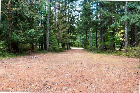 253 Baker Rd, Randle, WA 98377 photo 38