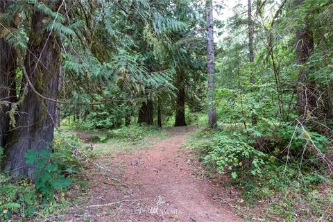253 Baker Rd, Randle, WA 98377 photo 39