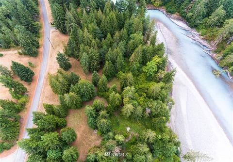 253 Baker Rd, Randle, WA 98377 photo 33