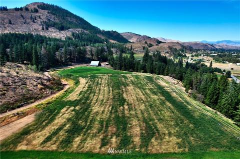 67 Alder Rd, Twisp, WA 98856 photo 38