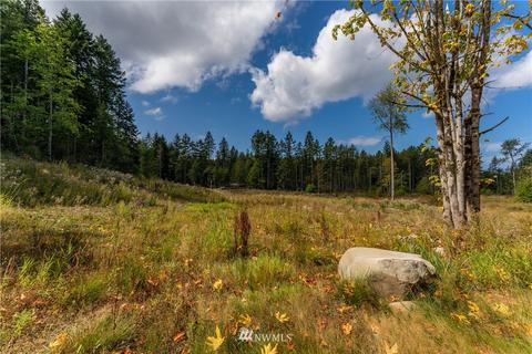 372 Guiles Rd, Sequim, WA 98382 photo 24