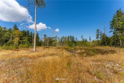 372 Guiles Rd, Sequim, WA 98382 photo 33